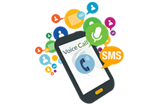 Bulk Voice Sms